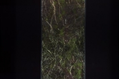 Picture1
