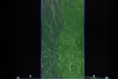 Picture5